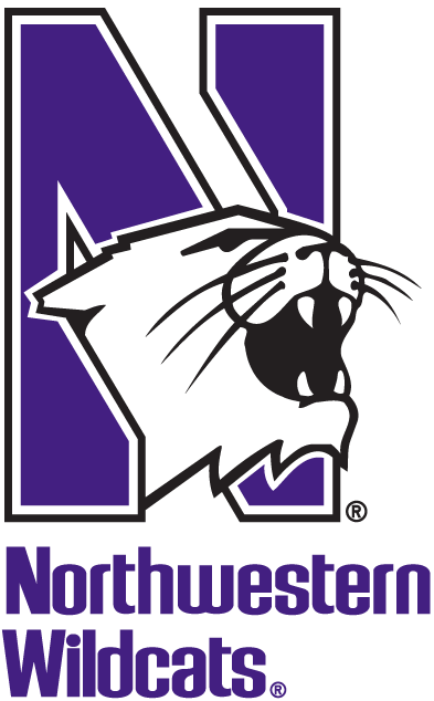 Northwestern Wildcats 1981-Pres Alternate Logo iron on paper